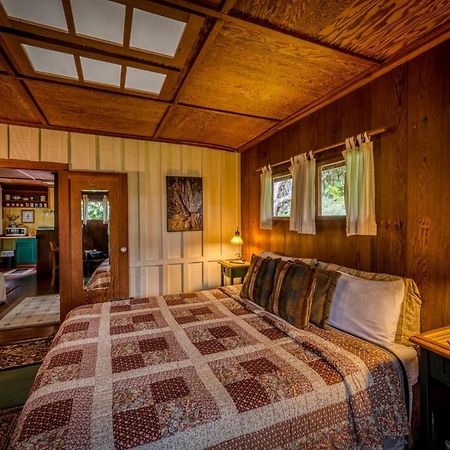 Crater Rim Cabin Волкейно Екстериор снимка