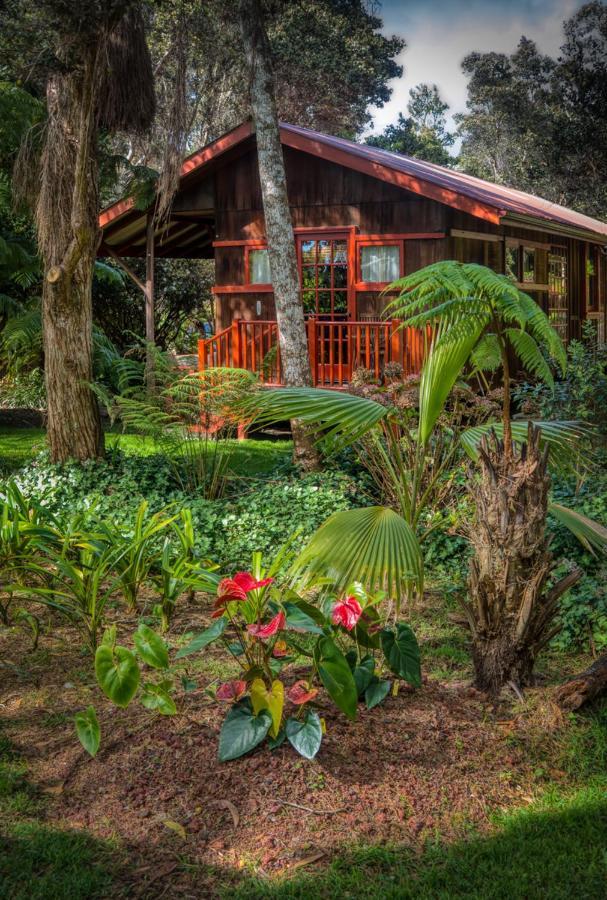 Crater Rim Cabin Hotel Волкейно Екстериор снимка